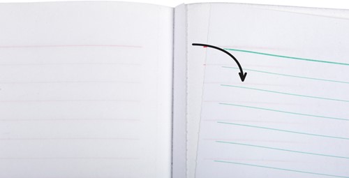 Kasboek Exacompta Manifold ontvangsten dupli 50vel NL-3