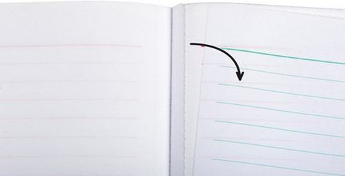 Ontvangstbewijzen Exacompta Manifold dupli 50vel Nl-3