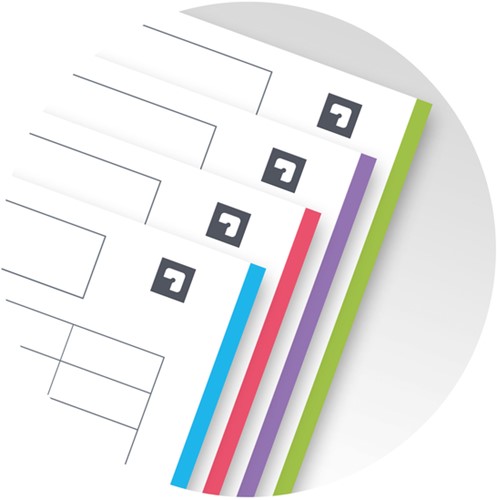 Collegeblok Oxford Office Essentials Europeanbook A4+ 4-gaats 120 pagina's assorti-8