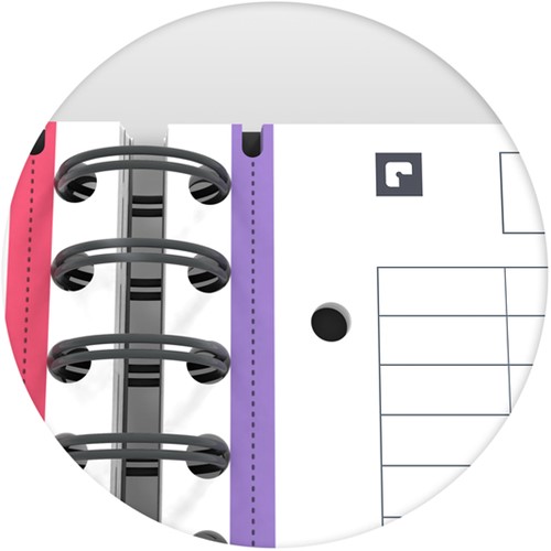 Collegeblok Oxford Office Essentials Europeanbook A4+ 4-gaats 120 pagina's assorti-10