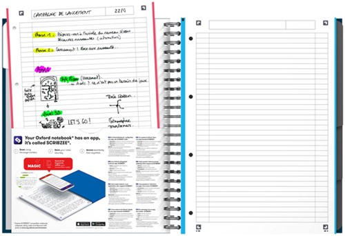 Collegeblok Oxford Office Essentials Europeanbook A4+ 4-gaats 120 pagina's assorti-5