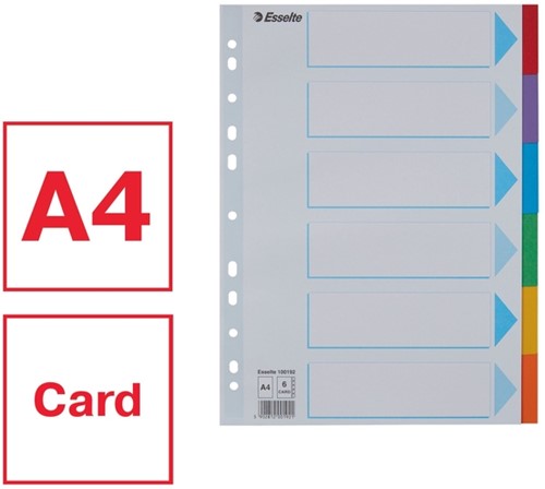 Tabbladen Esselte Standaard A4 6-delig karton 11-rings met voorblad assorti-6
