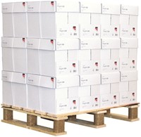 Kopieerpapier Quantore Basic A4 80gr wit 500 vel-7