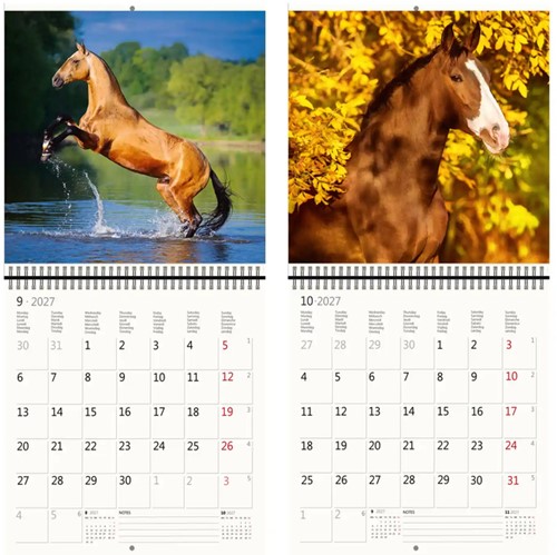 Kalender 2027 Helma 365 30x30cm paarden-1