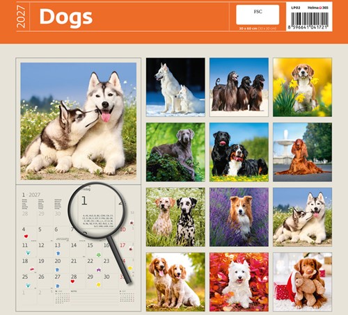 Kalender 2027 Helma 365 30x30cm honden-2
