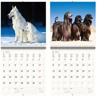 Kalender 2027 Helma 365 30x30cm honden-3
