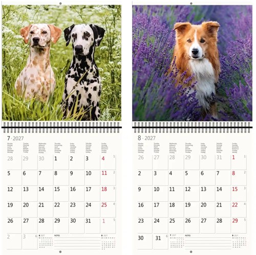 Kalender 2027 Helma 365 30x30cm honden-1