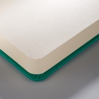 Schetsboek Talens Art Creation 80 vel 140gr 210x297mm woudgroen-3
