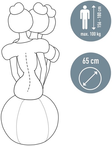 Actieve zitbal Leitz Ergo Cosy grijs-3