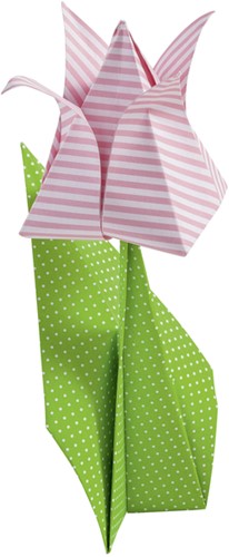 Vouwblaadjes Folia 80gr 20x20cm 50 vel 2-zijdig 10 basics designs-3