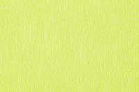 Crêpepapier Folia 50x250cm 10vel 145 lichtgroen-2