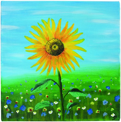 Schildersdoek Qrea Studio 13x18cm-2