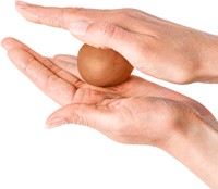 Boetseerklei Fimo Air 375gram houteffect-1