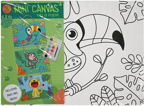 Canvasset om in te kleuren assorti-1