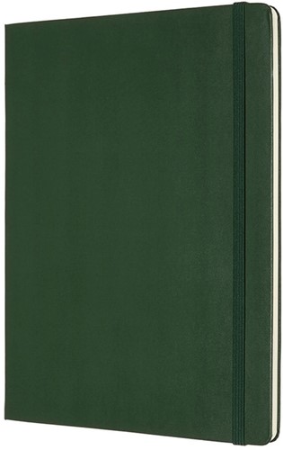 Notitieboek Moleskine XL 190x250mm blanco hard cover myrtle green-2