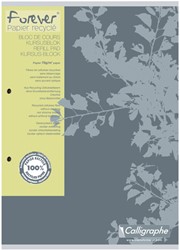 Cursusblok Clairefontaine Forever Calligraphe A4 ruit 5x5mm 2-gaats 200 pagina's 70gr grijs