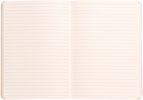 Notitieboek Rhodia A6 lijn 72 vel 90gr zwart-2
