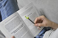 Boekenlegger Metalmorphose dinosaurus-1