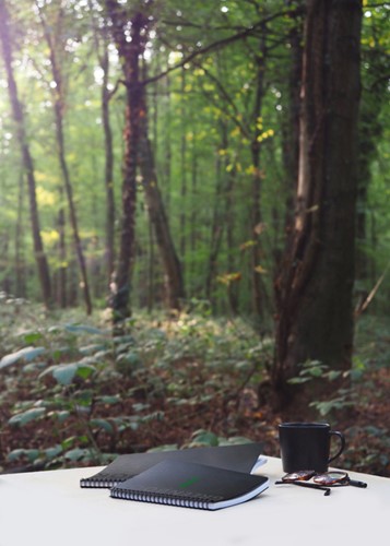 Notitieboek Rhodia Greenbook A4+ lijn 4-gaats 180 pagina's 90gr zwart-2