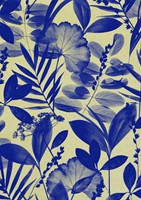 Inpakpapier Stewo Mindful 200x70cm assorti-3