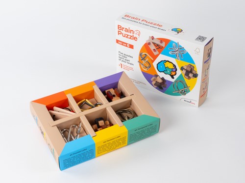 Brain Puzzles - set of 6-2