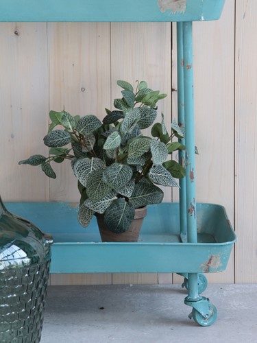 Kunstplant Mica Pilea in pot Ø11,5cm 35x25cm-3