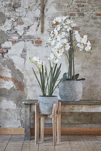 Kunstplant Mica Phalaenopsis orchideeën wit in plastic pot 79x51cm-2