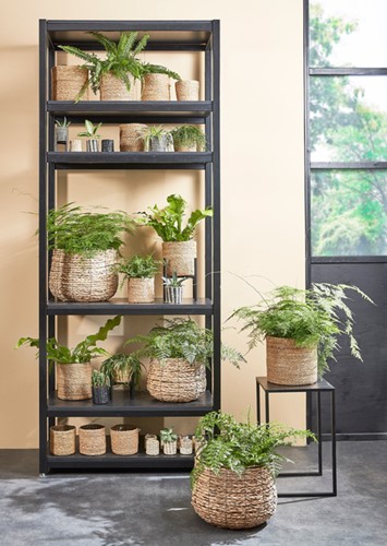 Plantenmand Mica Avalon zeegras rond lichtbruin 26x26cm-2