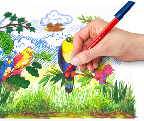 Kleurstift Staedtler Noris 326 kartonnen etui 10 kleuren-3