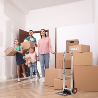 Steekwagen BRASQ stalen plateau 90 kg-8