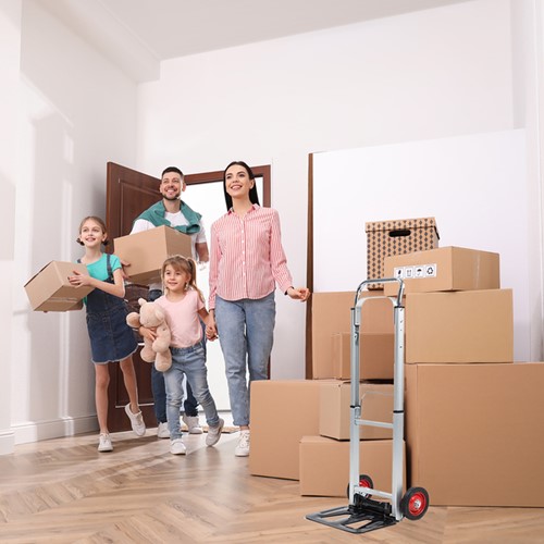 Steekwagen BRASQ stalen plateau 90 kg-8