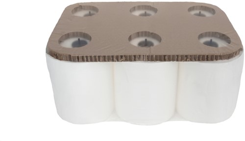 Handdoekrol Cleaninq Matic 2-laags 150m wit-2