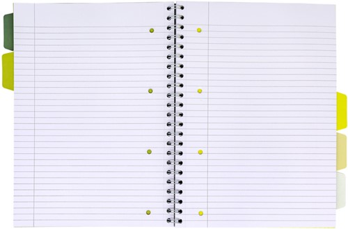 Projectboek Pukka Pad Recycled A4 lijn 5-tabs 4-gaats 200 pagina's 80gr groen-2