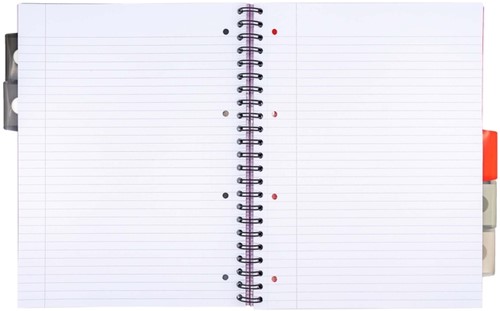 Projectboek Pukka Pad Metallic Executive A4 lijn 5-tabs 4-gaats 200 pagina's 80gr assorti-2