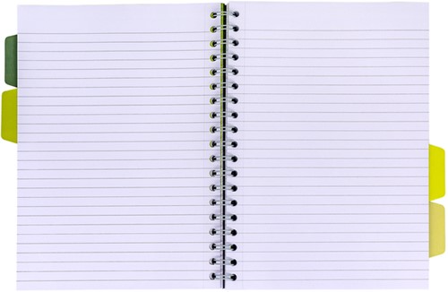 Projectboek Pukka Pad Recycled B5 lijn 4-tabs 200 pagina's 80gr groen-2