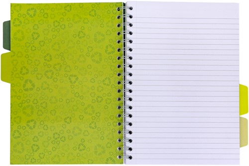 Projectboek Pukka Pad Recycled B5 lijn 4-tabs 200 pagina's 80gr groen-2