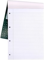 Schrijfblok Pukka Pad Recycled A4 lijn 4-gaats 100 vel 80gr-2