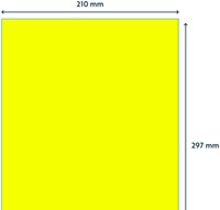 Etiket Rillprint 210x297mm fluorgeel 100 etiketten-2