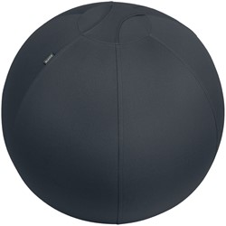 Actieve zitbal Leitz Ergo 65cm anti-rol donkergrijs