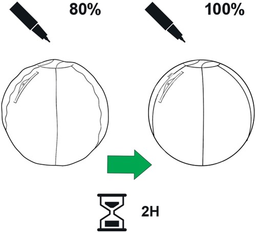 Actieve zitbal Leitz Ergo 55cm anti-rol donkergrijs-2