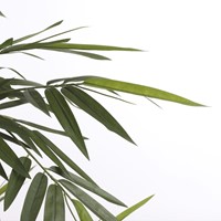 Kunstplant Mica Bamboe in plastic pot 150x75cm-2