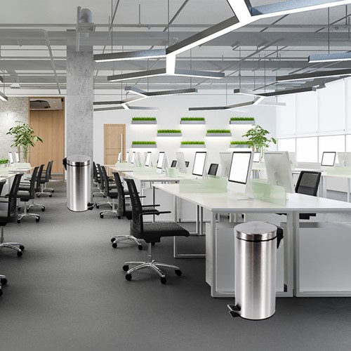 Pedaalemmer BRASQ 30 liter rvs-3