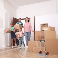 Steekwagen BRASQ Inklapbaar HT60 incl. bagagespin 60Kg-8