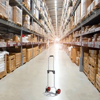 Steekwagen BRASQ Inklapbaar HT60 incl. bagagespin 60Kg-5