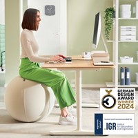 Actieve zitbal Leitz Ergo 75cm anti-rol design-3