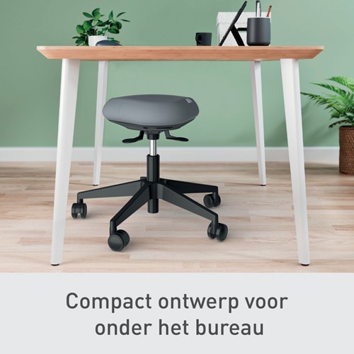 Zitkruk Leitz Ergo met wieltjes en wiebelkussen-3