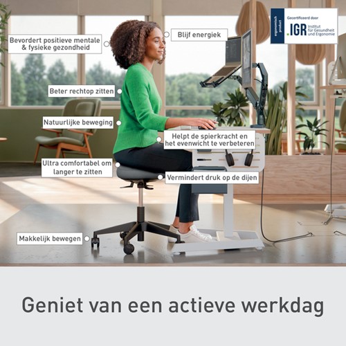Zitkruk Leitz Ergo met wieltjes en wiebelkussen-4