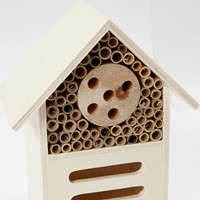 Insecten- en vlinder hotel Creativ Company hout-3