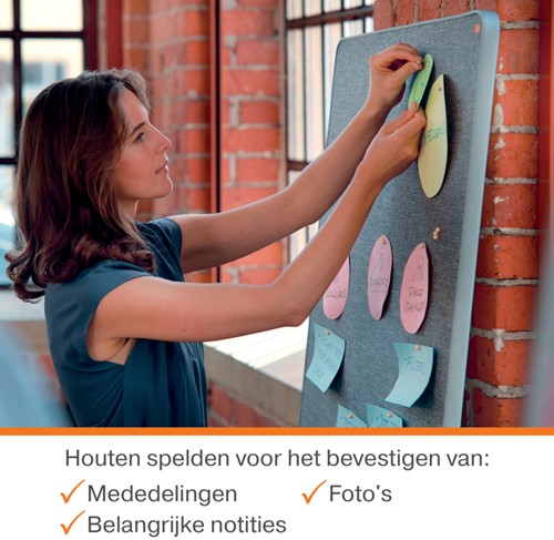 Punaises Nobo hout voor memobord 40 stuks-2