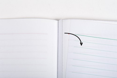 Leveringenboek Exacompta Manifold dupli 50vel Nl Fr-3